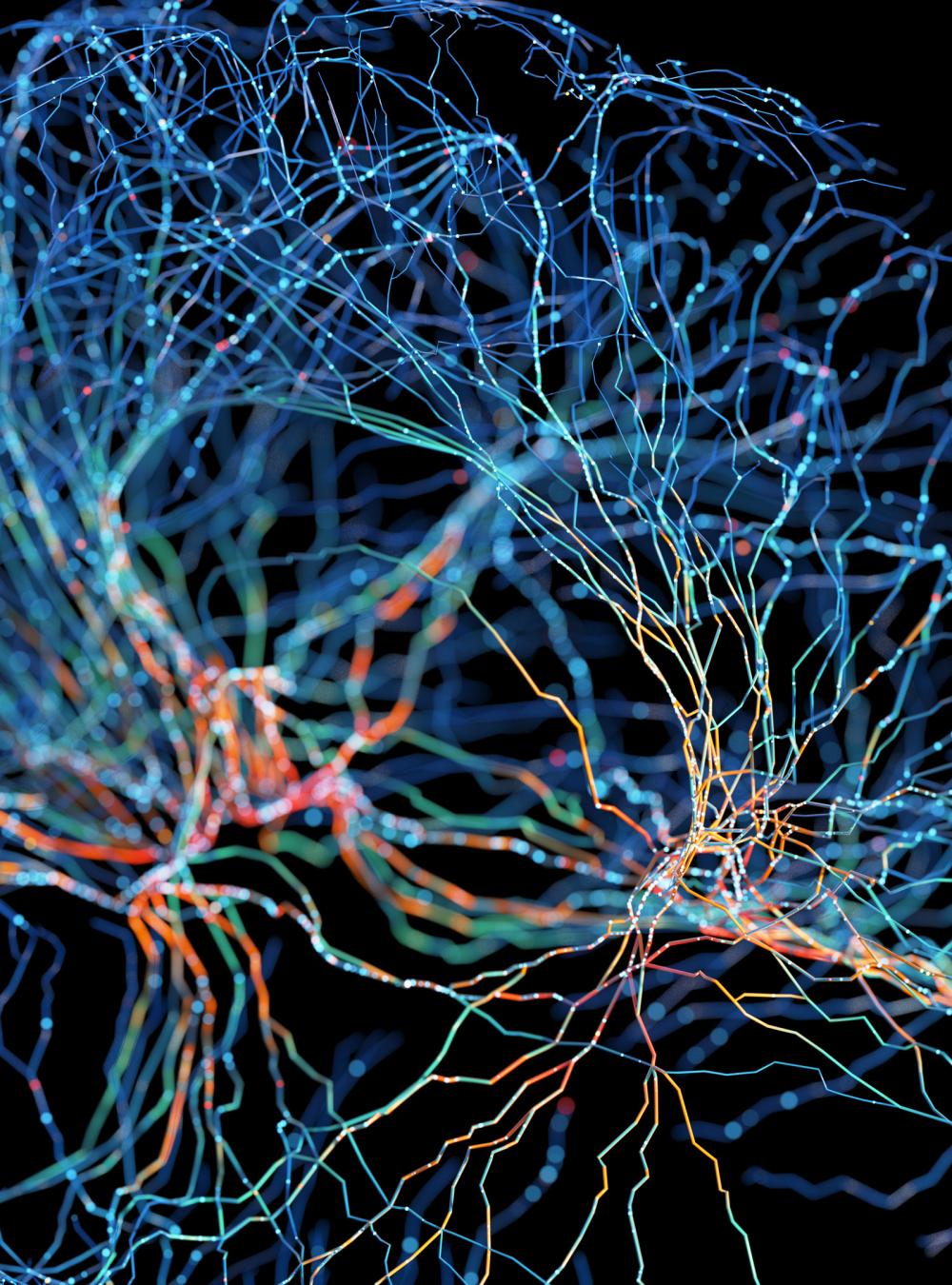 illustration of brain patterns