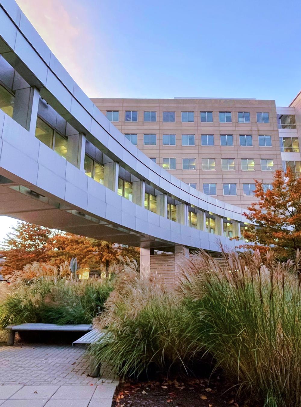 MITRE Campus at sunrise