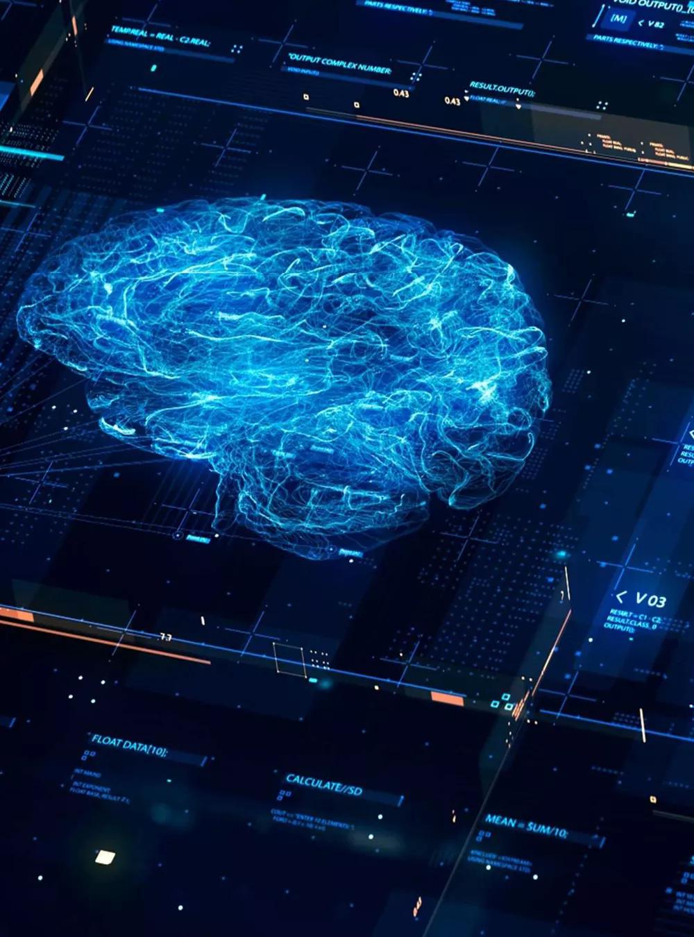 brain scan