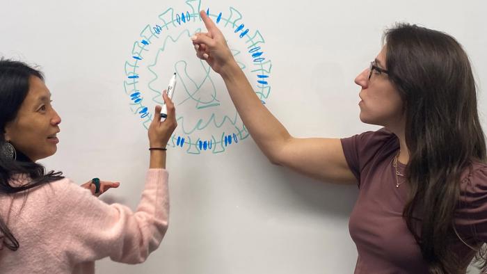 two women collaborating at a whiteboard
