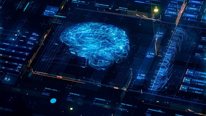 brain scan