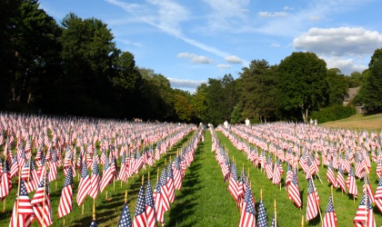 Small flags standing in rows on a grass field