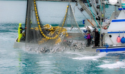 Alaska fisherman