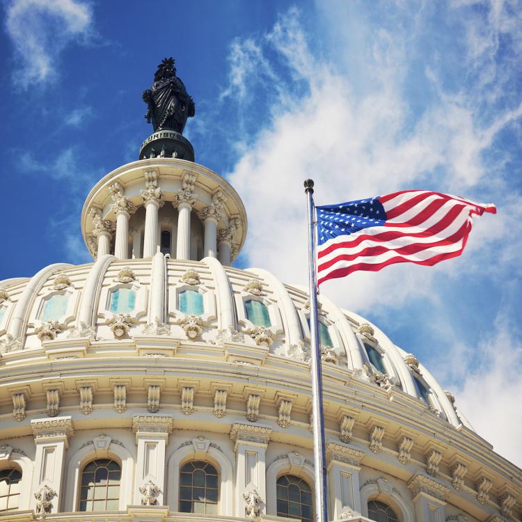 U.S. Capitol dome close-up