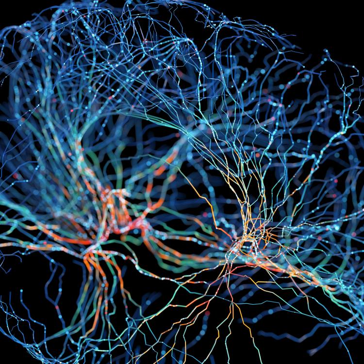 illustration of brain patterns